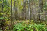 Off Turtle Lake Rd S - Photo 10