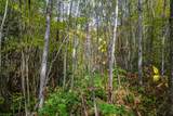 Off Turtle Lake Rd S - Photo 12