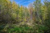 Off Turtle Lake Rd S - Photo 13