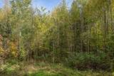 Off Turtle Lake Rd S - Photo 15