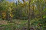 Off Turtle Lake Rd S - Photo 16