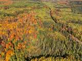 Off Turtle Lake Rd S - Photo 22