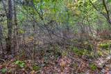 Off Turtle Lake Rd S - Photo 4