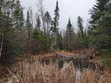 69964 Forest Rd 182 - Photo 13