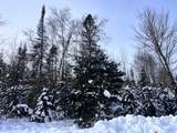 Lot 2 Butternut Cir - Photo 1