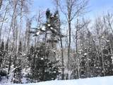 Lot 21 Butternut Cir - Photo 11