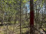 ON Wolf Rd - Photo 10