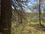 ON Wolf Rd - Photo 11