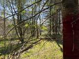 ON Wolf Rd - Photo 12