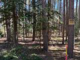 ON Wolf Rd - Photo 7
