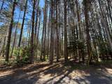 ON Wolf Rd - Photo 9