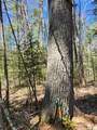 8 acres Bills Lake Rd - Photo 10