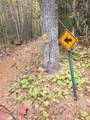 8 acres Bills Lake Rd - Photo 3