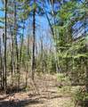 8 acres Bills Lake Rd - Photo 4