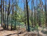 8 acres Bills Lake Rd - Photo 8