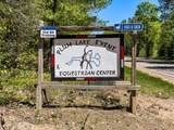 8177 Plum Lake Station Rd - Photo 2