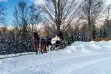 8177 Plum Lake Station Rd - Photo 56