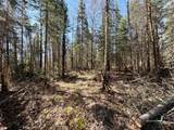 25392 Hwy 13 - Photo 32