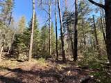25392 Hwy 13 - Photo 34