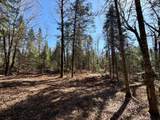 25392 Hwy 13 - Photo 39