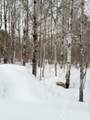 6828N Zett Rd - Photo 8