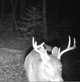 N5134 Star Neva Rd - Photo 29