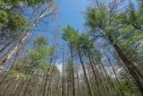 Off Eagle Waters Rd - Photo 10