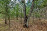 Off Eagle Waters Rd - Photo 12