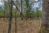 Off Eagle Waters Rd - Photo 13