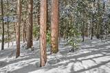Lot 2 Campground Rd - Photo 5