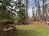 17410 Wheeler Lake Ln - Photo 56