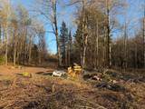 206 Tilden St - Photo 16