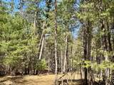 9276 Black Pine Ln - Photo 6