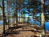 6697 Carola Dr - Photo 17