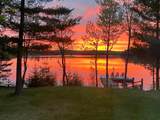 6697 Carola Dr - Photo 9