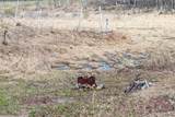 W10177 Forman Rd - Photo 35