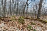 Off Johnson Ln - Photo 28