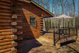 1509 Rachel Ln - Photo 49