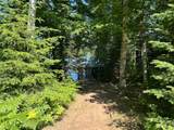 12620 Pace Dr - Photo 5