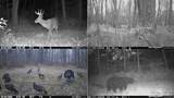 N2669 Ten Crossing Rd - Photo 19