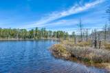 2814 Pickerel Lake Rd - Photo 31