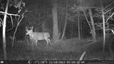 539 Macarthur Trl - Photo 27