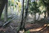 TBD University Dr - Photo 15