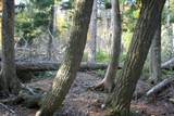 TBD University Dr - Photo 16