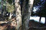 TBD University Dr - Photo 4