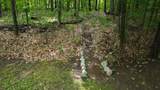 12958 Sunset Ridge Ln - Photo 61
