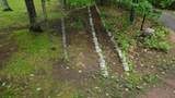 12958 Sunset Ridge Ln - Photo 62
