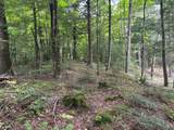N10311 Hemlock Rd - Photo 55