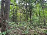 N10311 Hemlock Rd - Photo 58