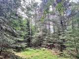 Lot 5 Eagle Waters Rd - Photo 3